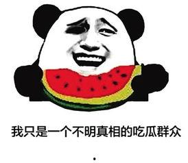 吃瓜群众之类网名,网络时代的匿名观察者