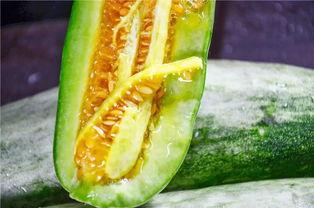 吃瓜网红瓜,吃瓜群众背后的故事