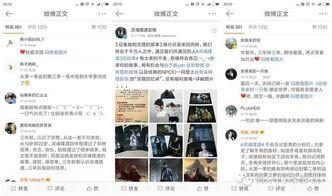 吃瓜群众图文并茂,图解明星幕后故事