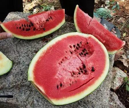 吃瓜腹泻啥病,常见病症背后的健康警示