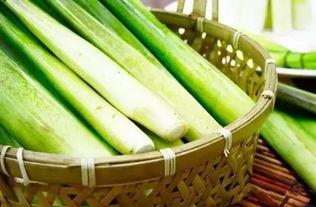 吃笋吃瓜,四季美食之旅