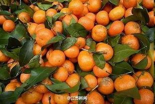 不怀好意吃瓜,揭秘“不怀好意吃瓜”背后的真相与内幕