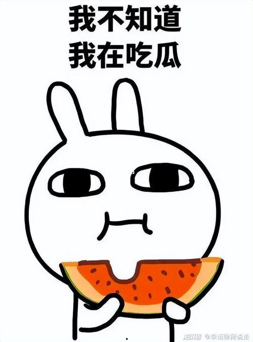 吃瓜q群6785689,一场网络社交的狂欢盛宴