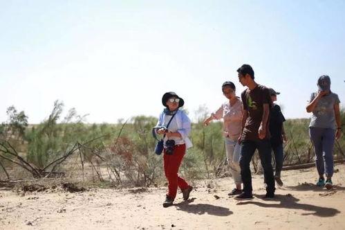 梦见跟朋友吃瓜,与好友共享瓜果时光