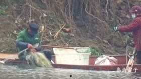 稻田吃瓜儿童,吃瓜儿童的田园时光