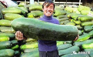 做题不会吃瓜,专注学习，拒绝吃瓜诱惑