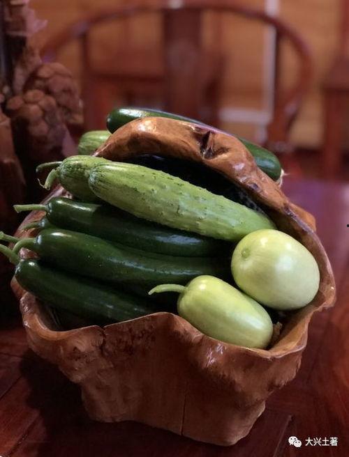 网红吃瓜总站,揭秘娱乐圈幕后真相，带你领略明星生活百态