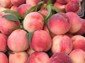 大桃吃瓜,揭秘娱乐圈幕后故事