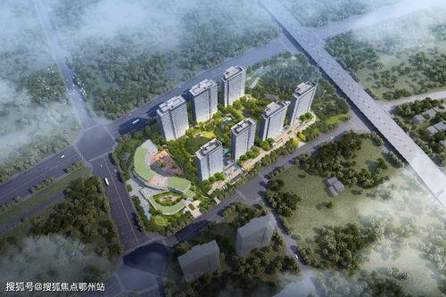 澜苑吃瓜,揭秘娱乐圈的吃瓜盛宴