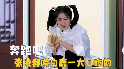 白鹿吃瓜直播间,揭秘娱乐圈幕后故事