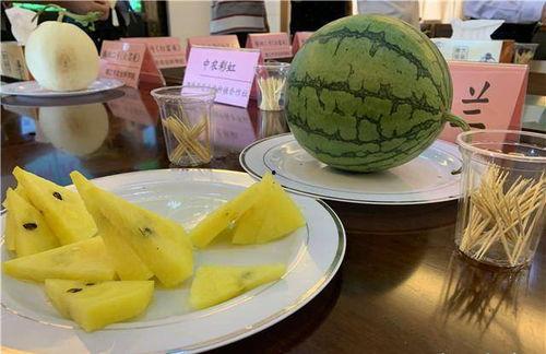 苏州园区吃瓜,吃瓜群众的味蕾盛宴