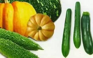 画梅吃瓜,一幅画中品生活