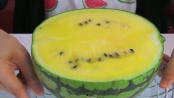 吃脚指头的瓜,探寻吃脚指头瓜的独特风味