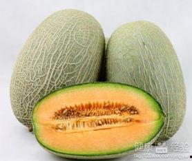 青鱼吃哈密瓜,探寻哈密瓜的神秘魅力